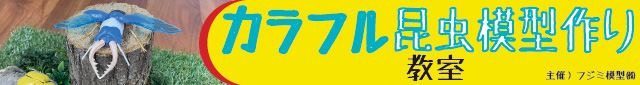 カラフル昆虫教室