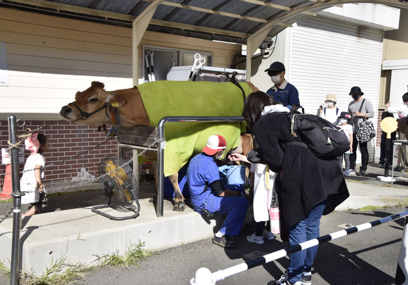 乳搾り体験 こどもの国イベント トピックス 神奈川県横浜市