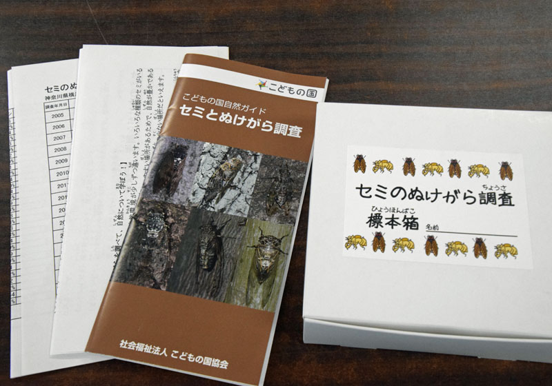 セミのぬけがら調査キット【8/5(月)～】｜こどもの国イベント・トピックス（神奈川県横浜市）