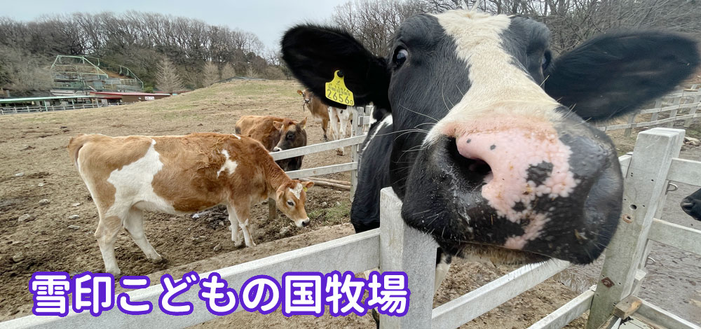 こどもの国｜子どもが今やりたいことをして遊ぶ場所｜神奈川県横浜市